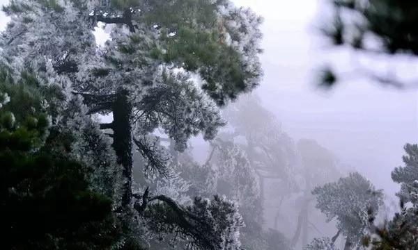 (新春走基层)内蒙古草原牧民寒冬冰上比拼阿日嘎